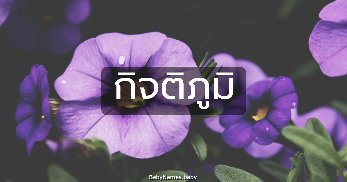 กิจติภูมิ