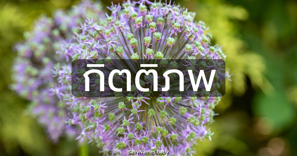 กิตติภพ