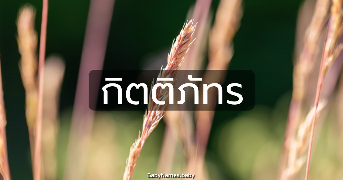 กิตติภัทร