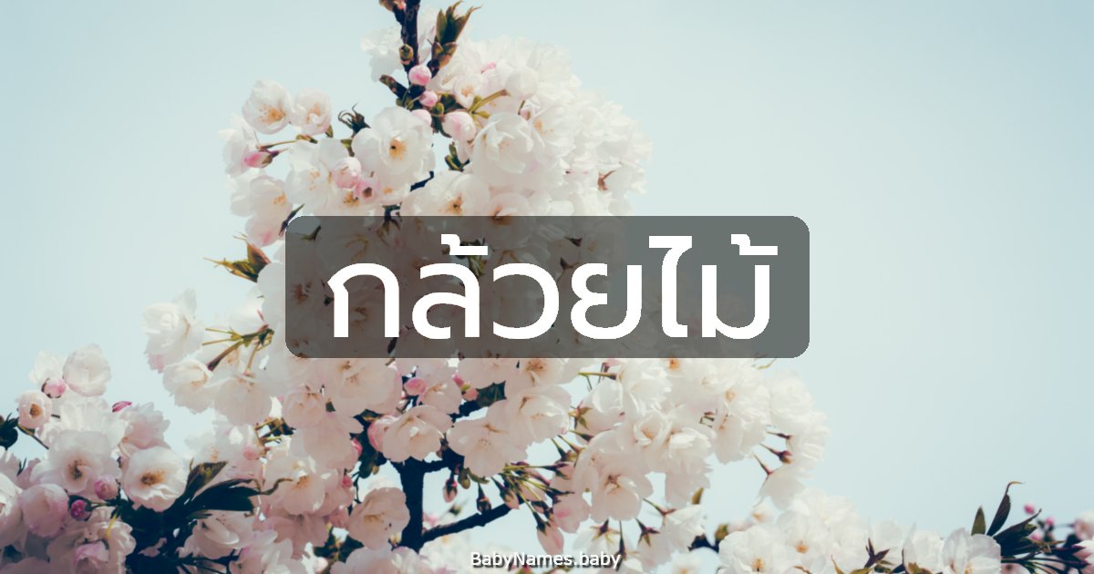 กล้วยไม้