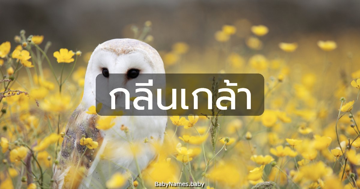 กลิ่นเกล้า