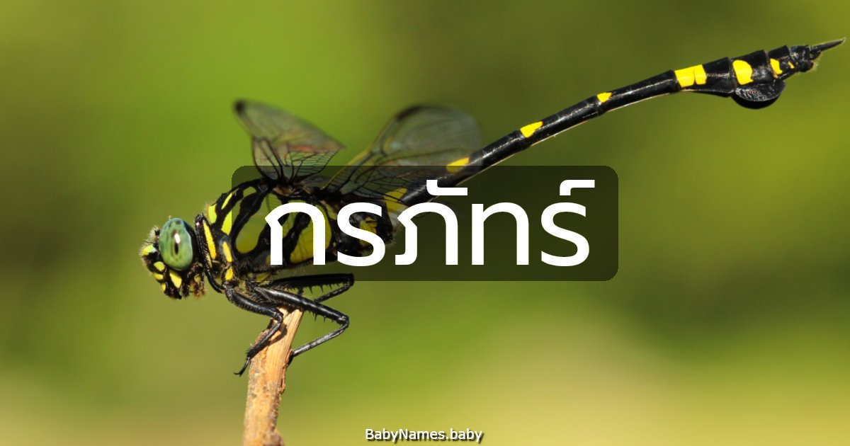 กรภัทร์