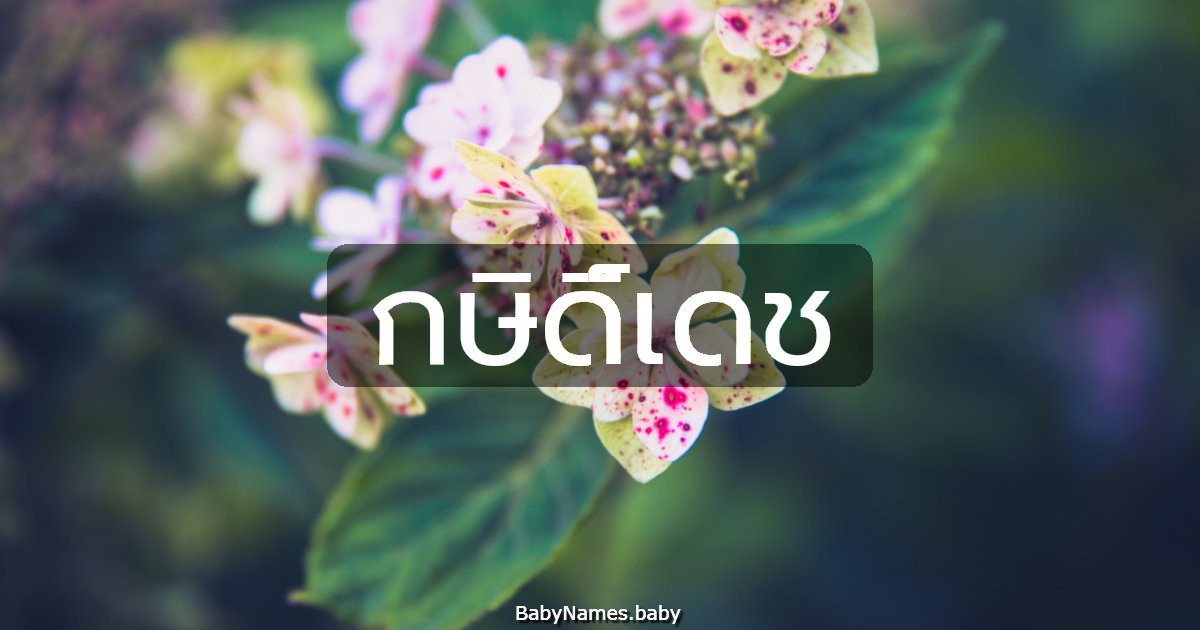 กษิดิ์เดช