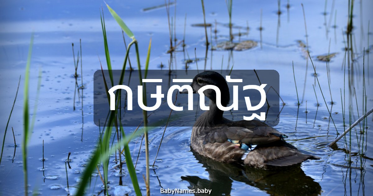 กษิติณัฐ
