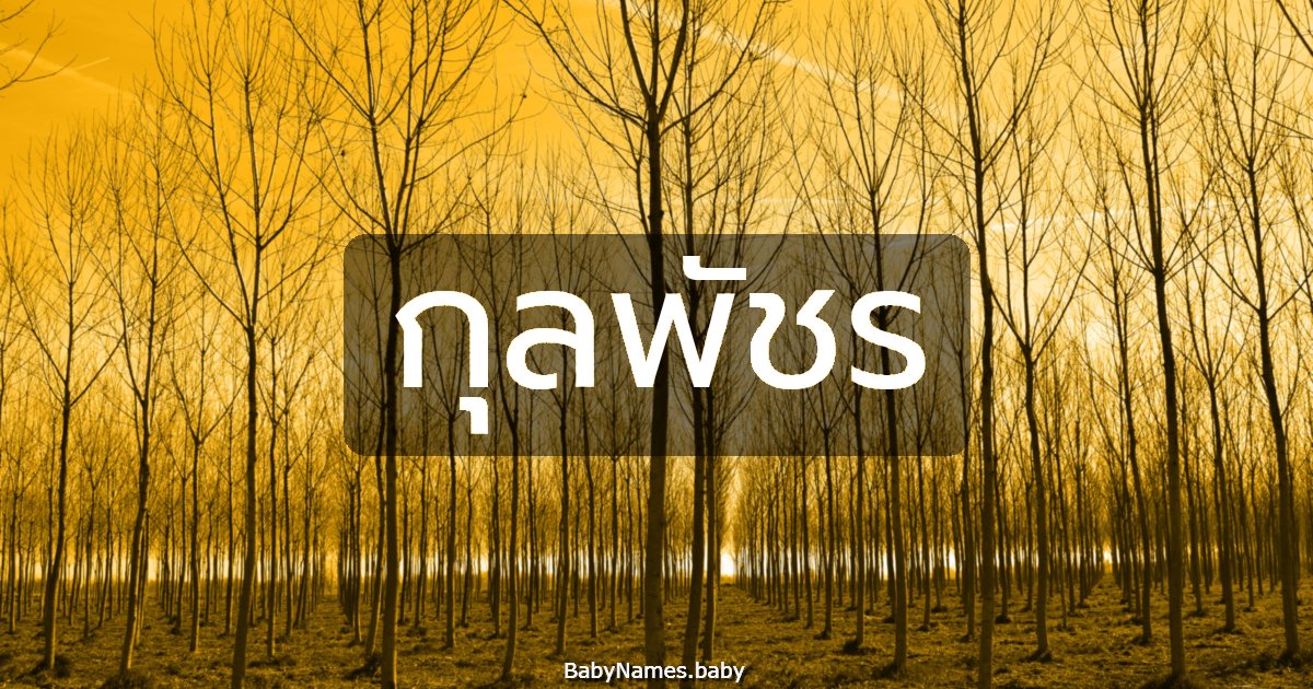 กุลพัชร