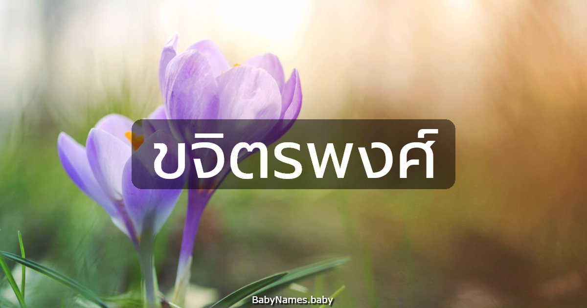 ขจิตรพงศ์
