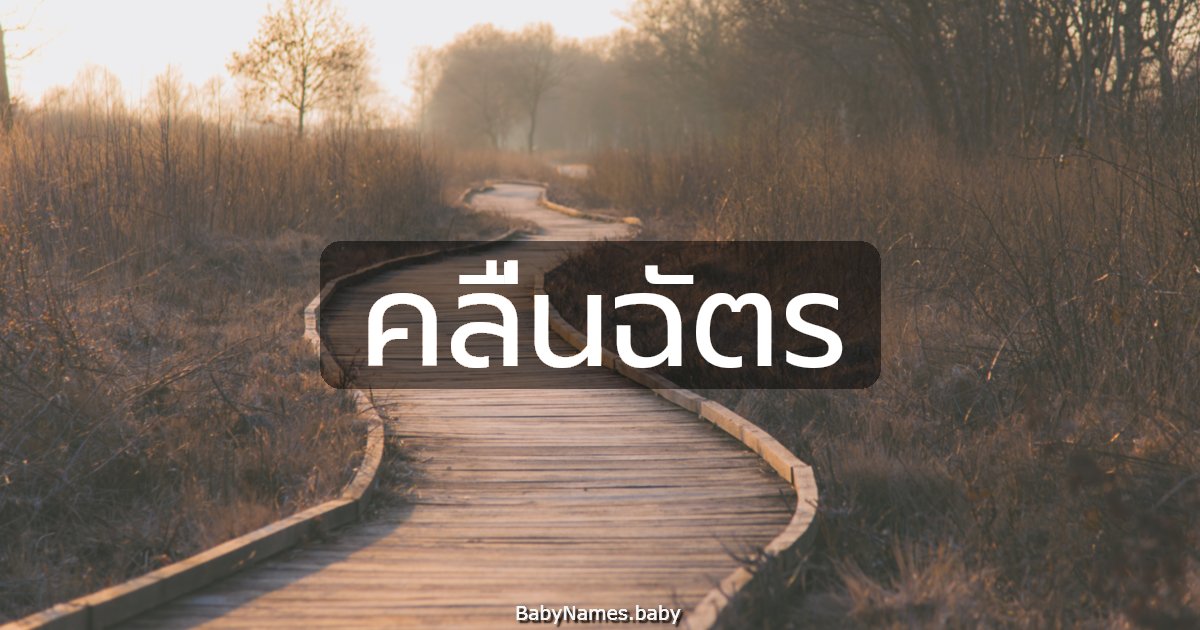 คลื่นฉัตร