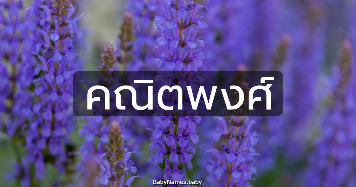 คณิตพงศ์