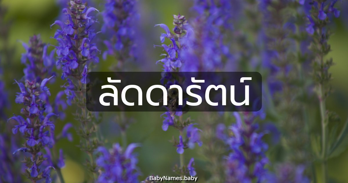 ลัดดารัตน์