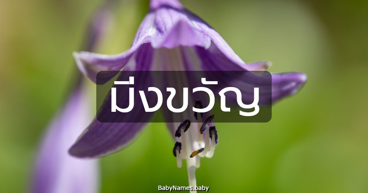 มิ่งขวัญ