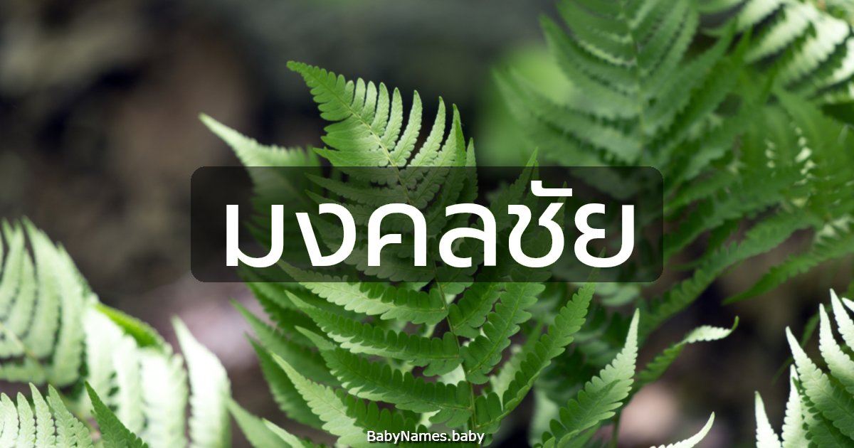 มงคลชัย