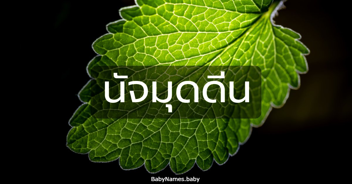 นัจมุดดีน