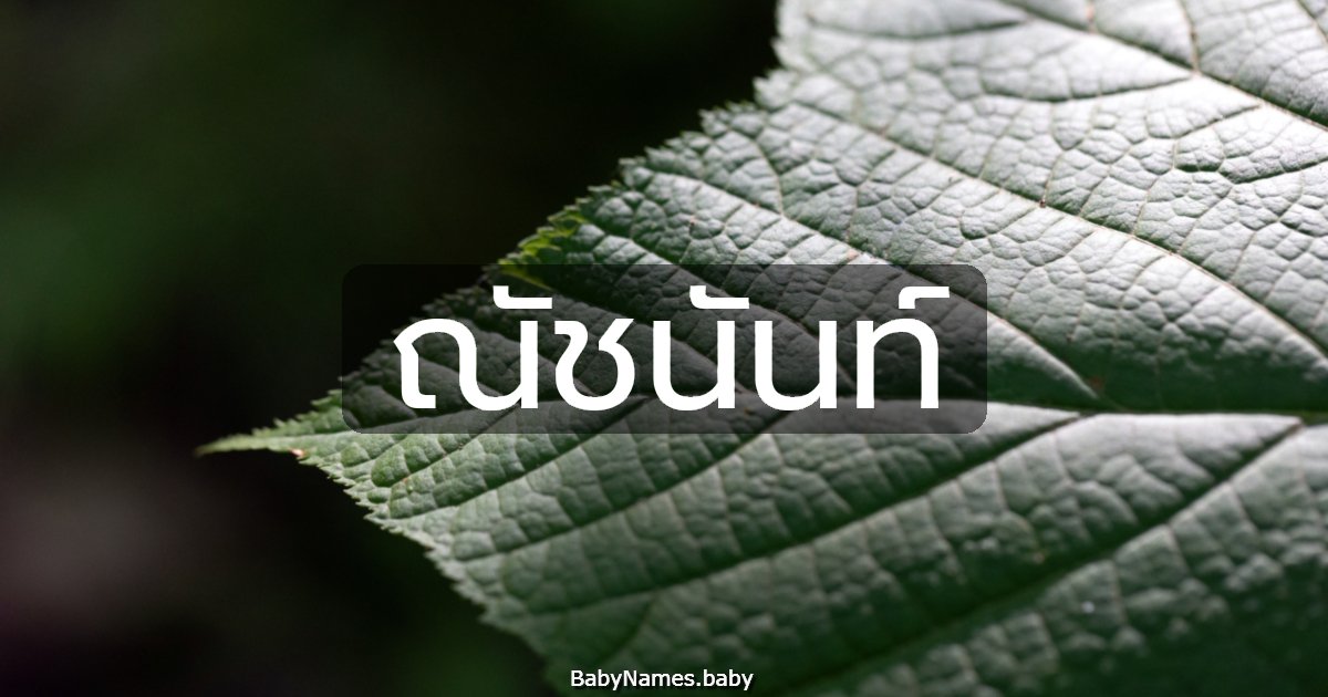 ณัชนันท์