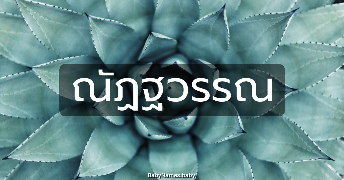 ณัฏฐวรรณ