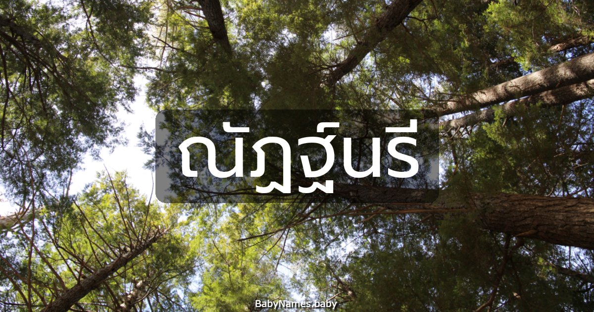 ณัฏฐ์นรี