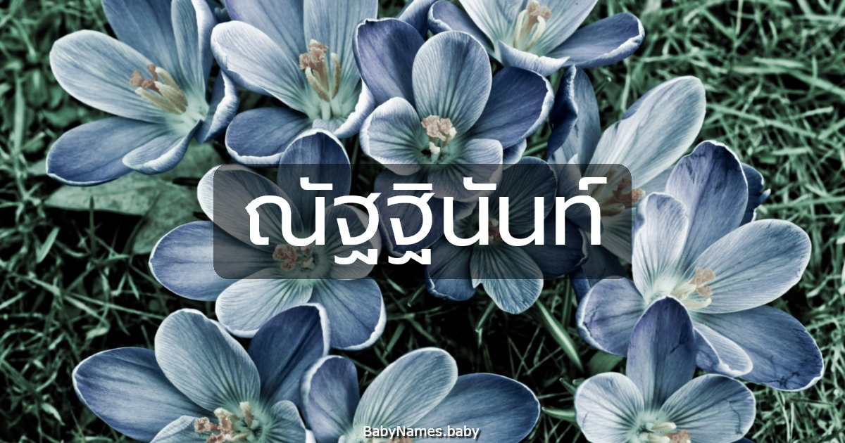 ณัฐฐินันท์