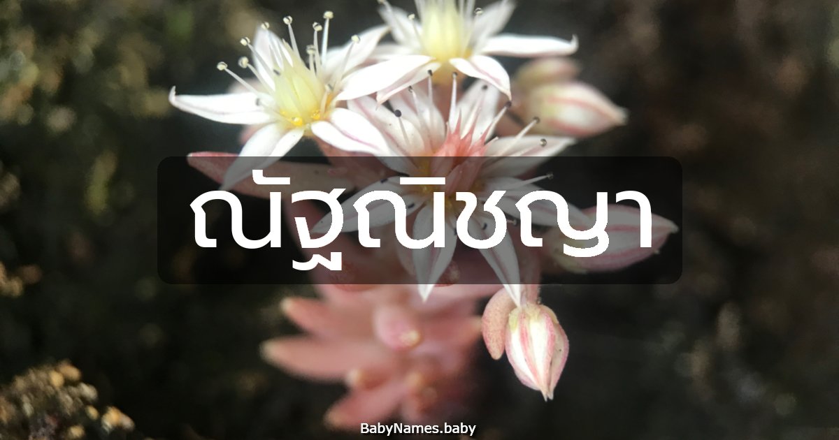 ณัฐณิชญา