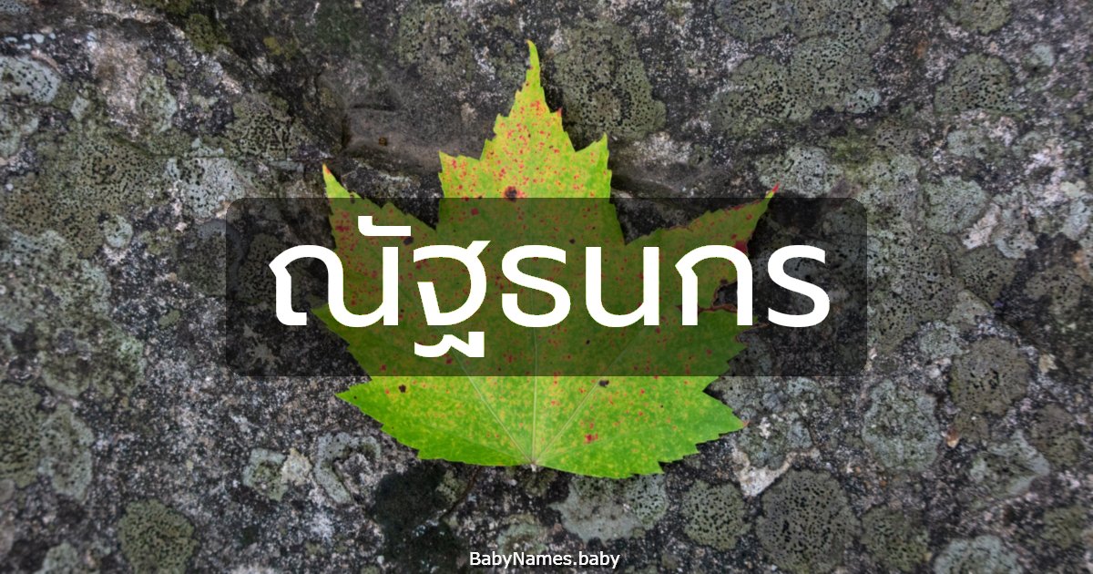 ณัฐธนกร