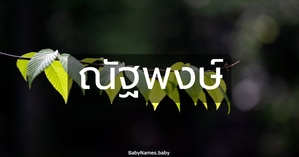 ณัฐพงษ์