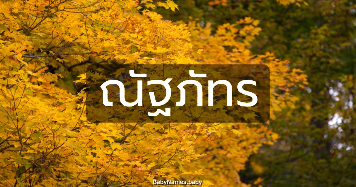 ณัฐภัทร