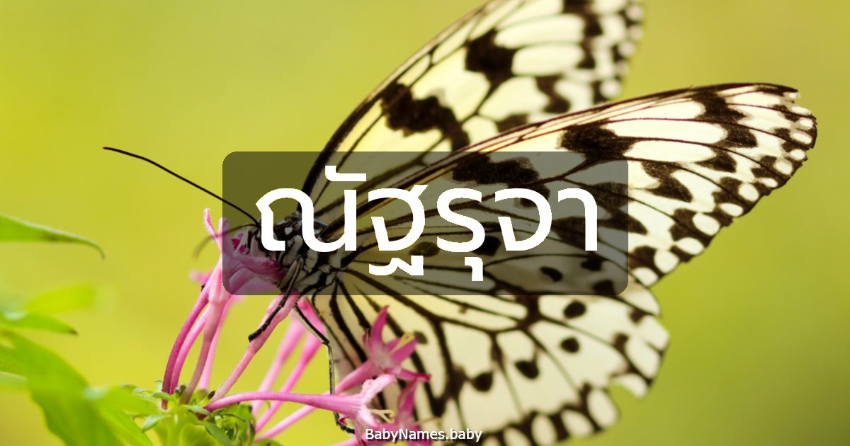 ณัฐรุจา