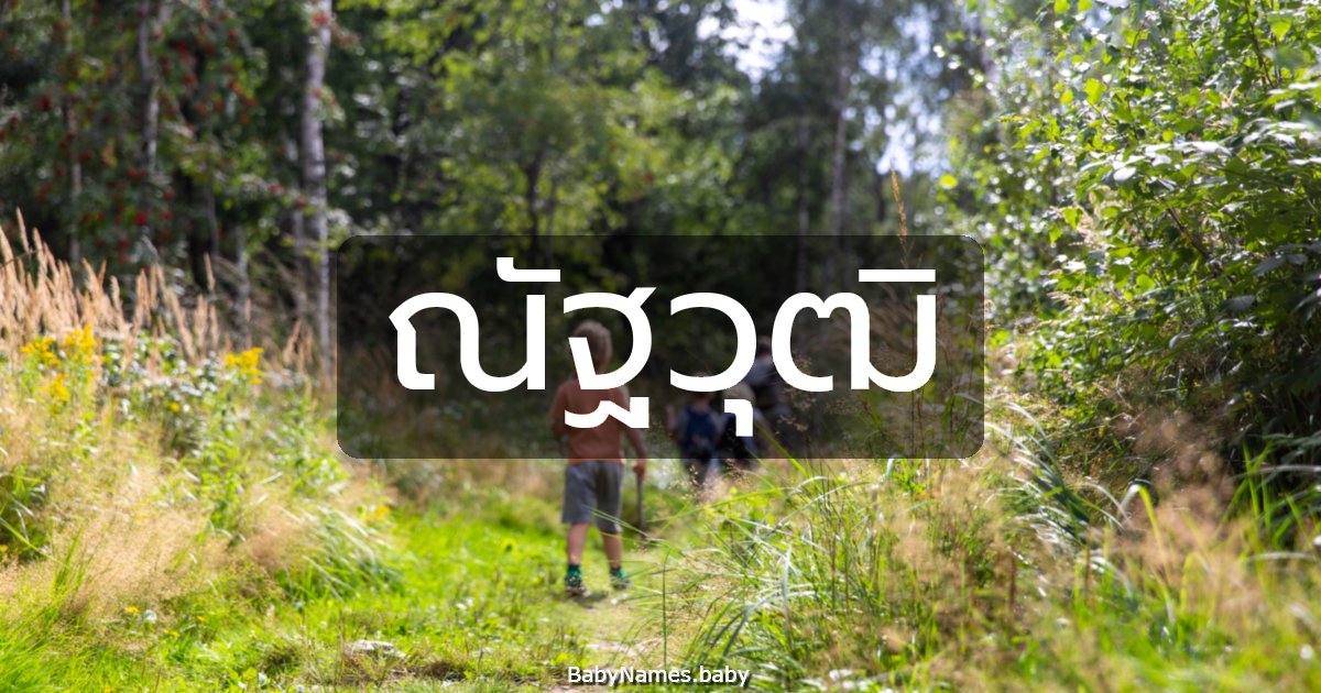 ณัฐวุฒิ