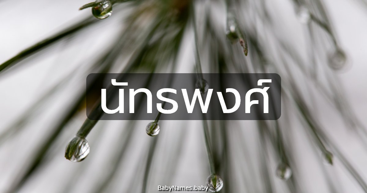 นัทธพงศ์