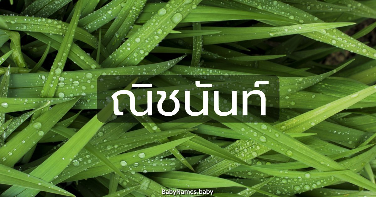 ณิชนันท์