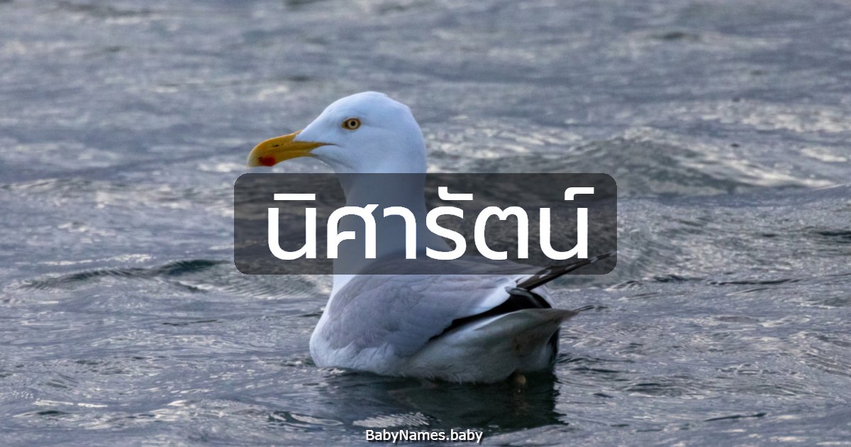 นิศารัตน์