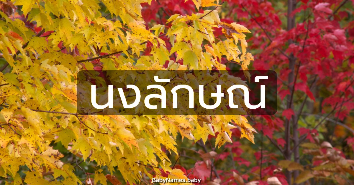 นงลักษณ์