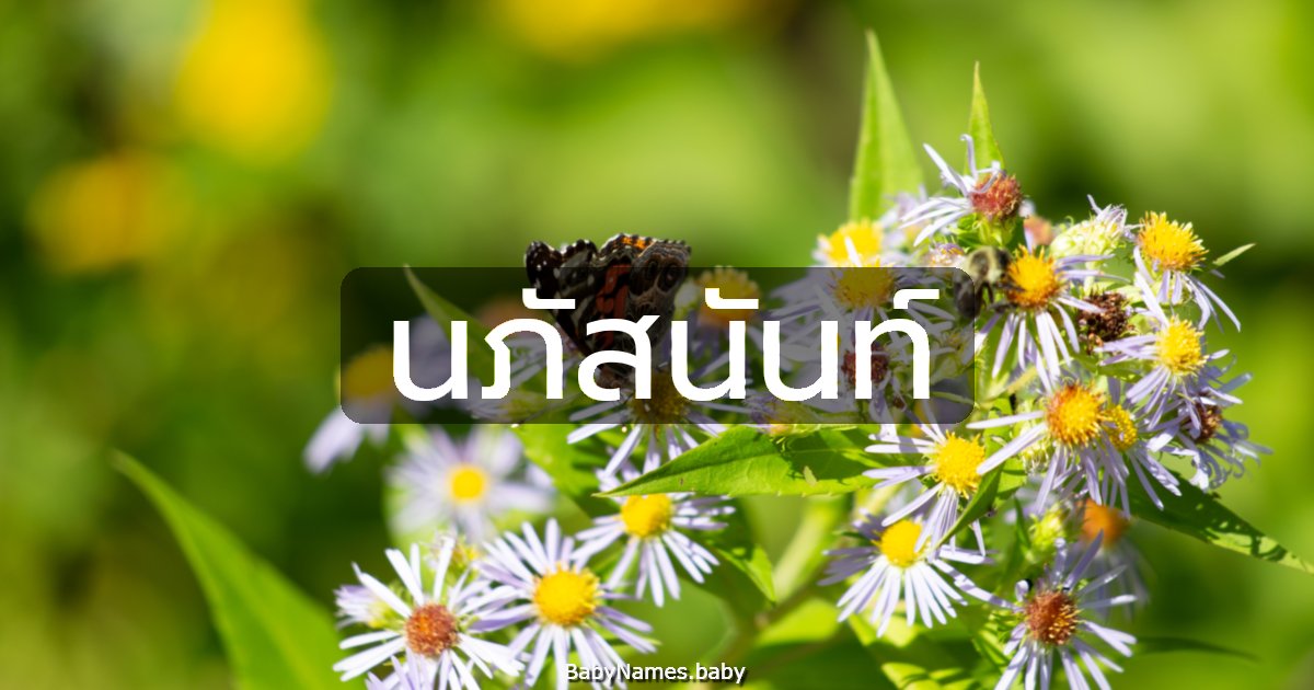 นภัสนันท์