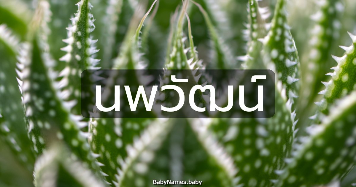 นพวัฒน์