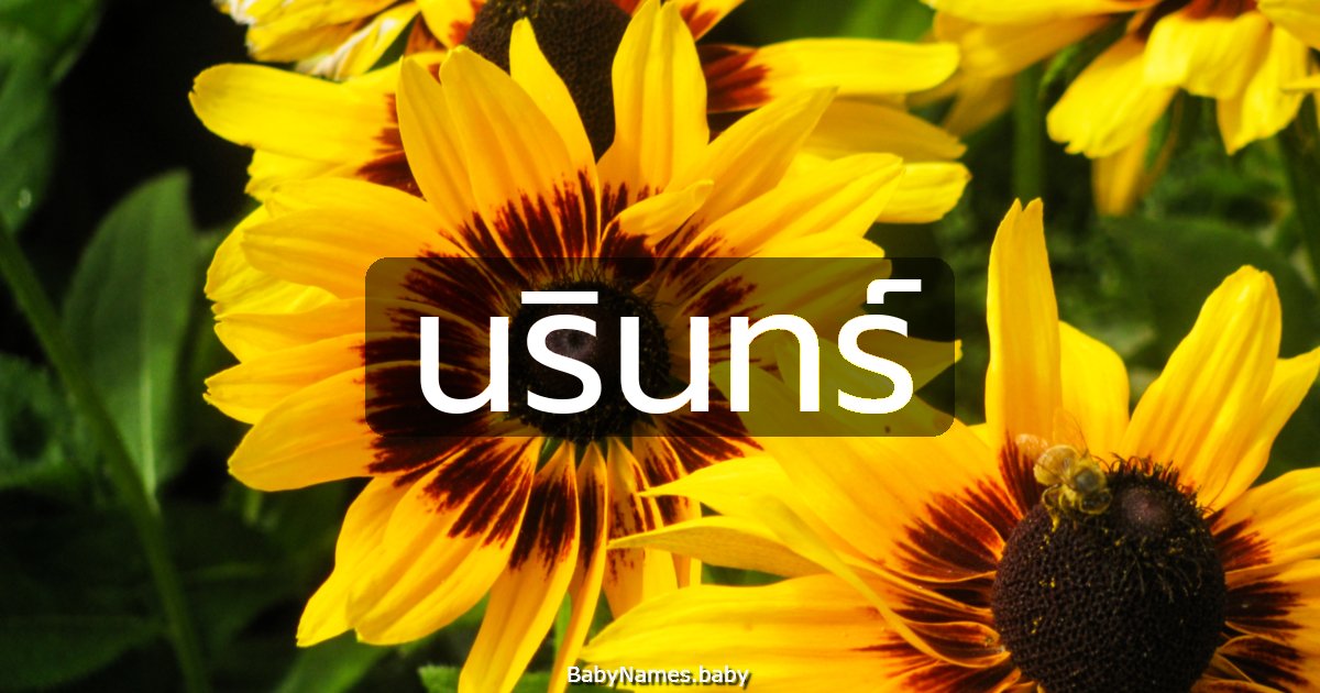 นรินทร์