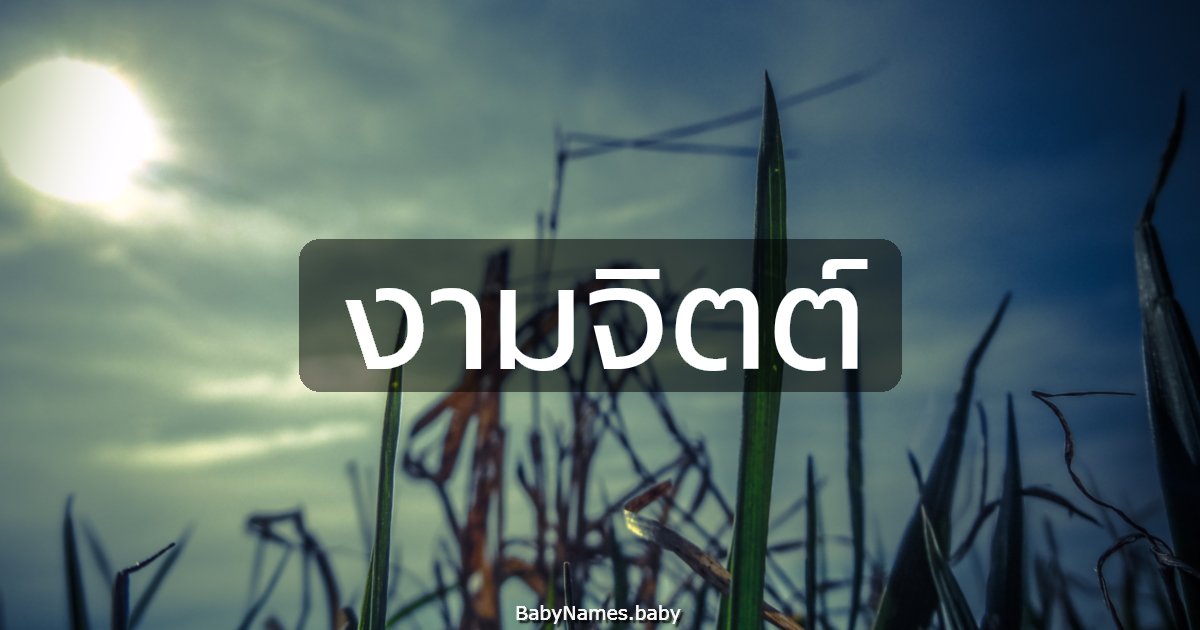 งามจิตต์