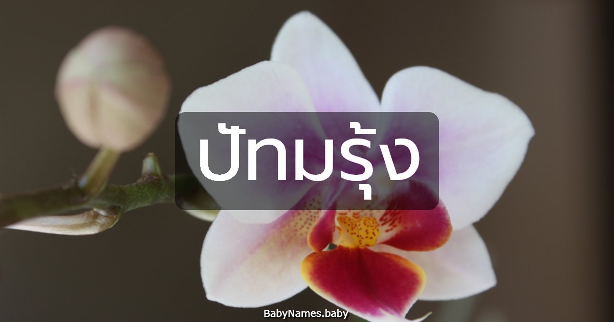 ปัทมรุ้ง