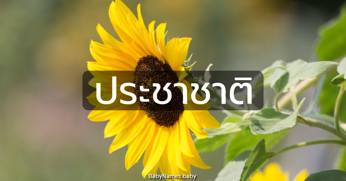 ประชาชาติ