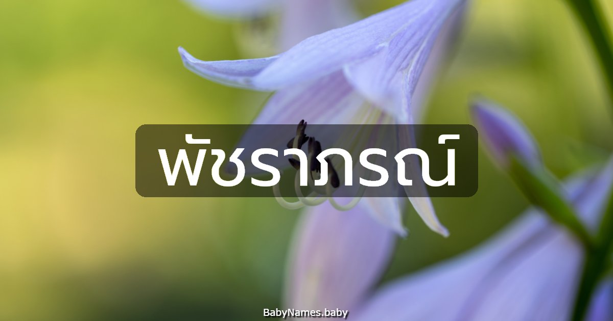 พัชราภรณ์