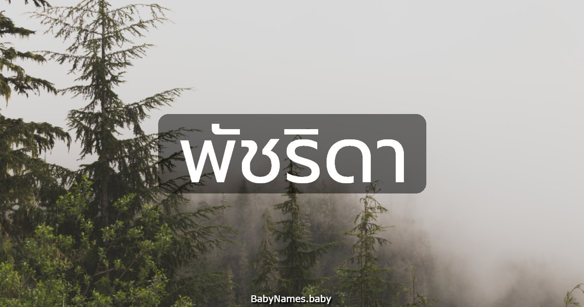 พัชริดา