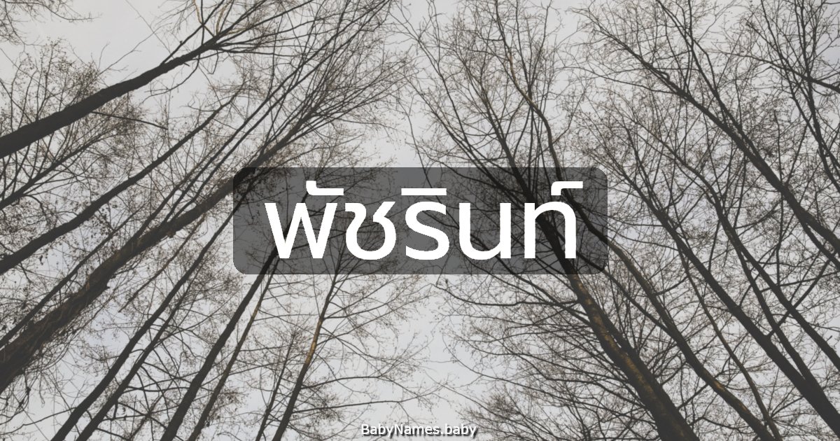 พัชรินท์