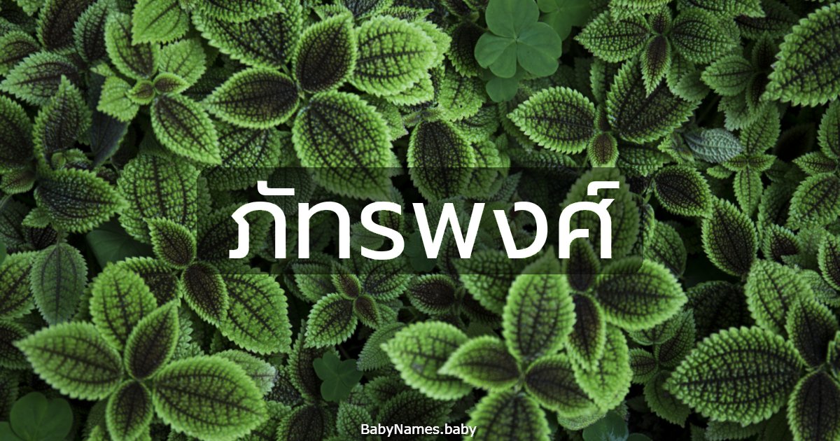 ภัทรพงศ์