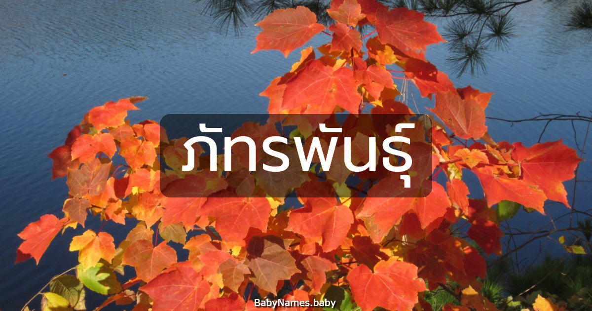 ภัทรพันธุ์