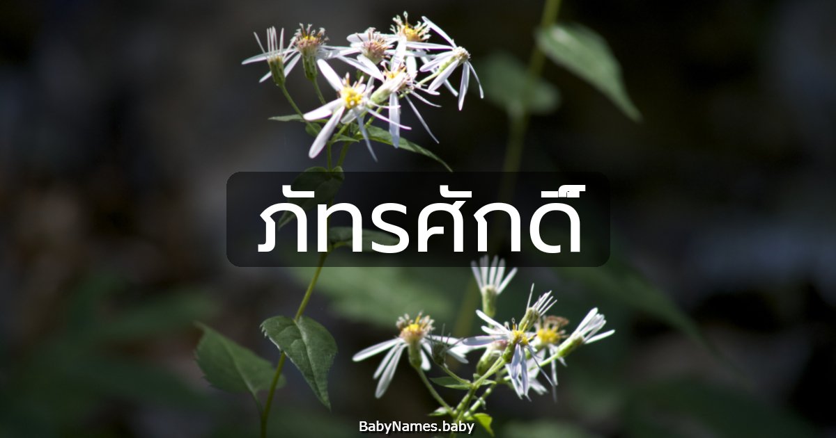 ภัทรศักดิ์