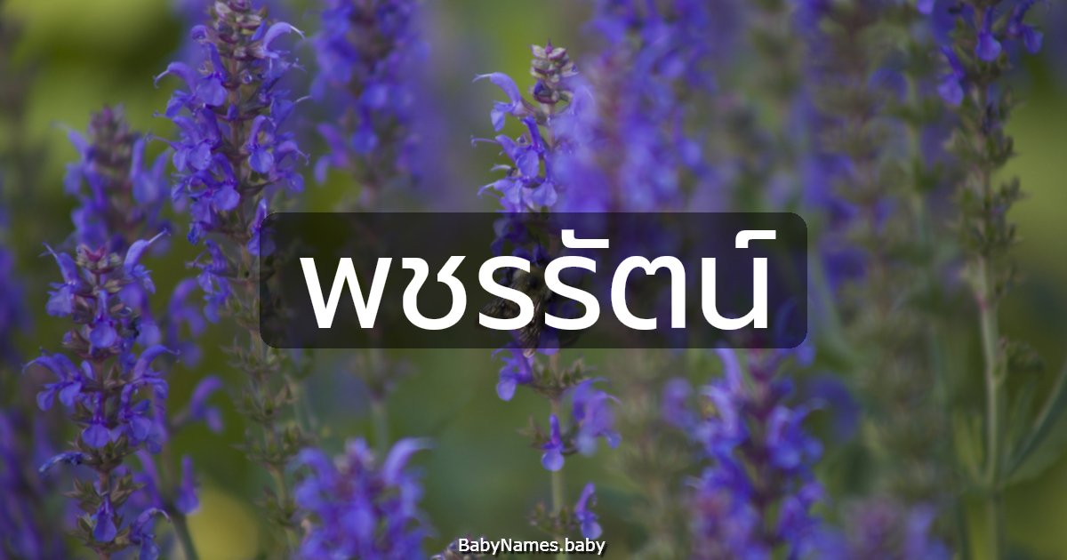 พชรรัตน์