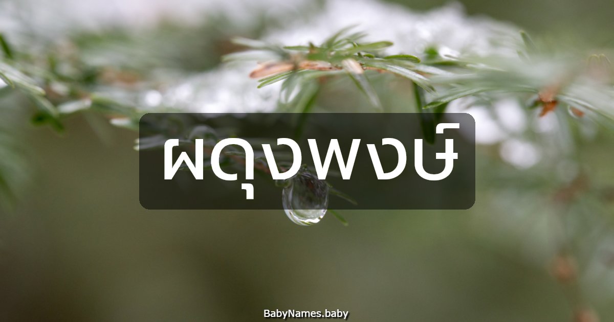 ผดุงพงษ์