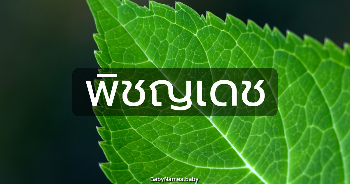 พิชญเดช