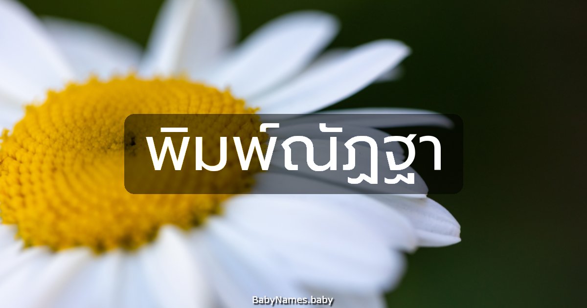 พิมพ์ณัฏฐา