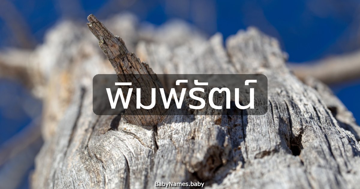 พิมพ์รัตน์