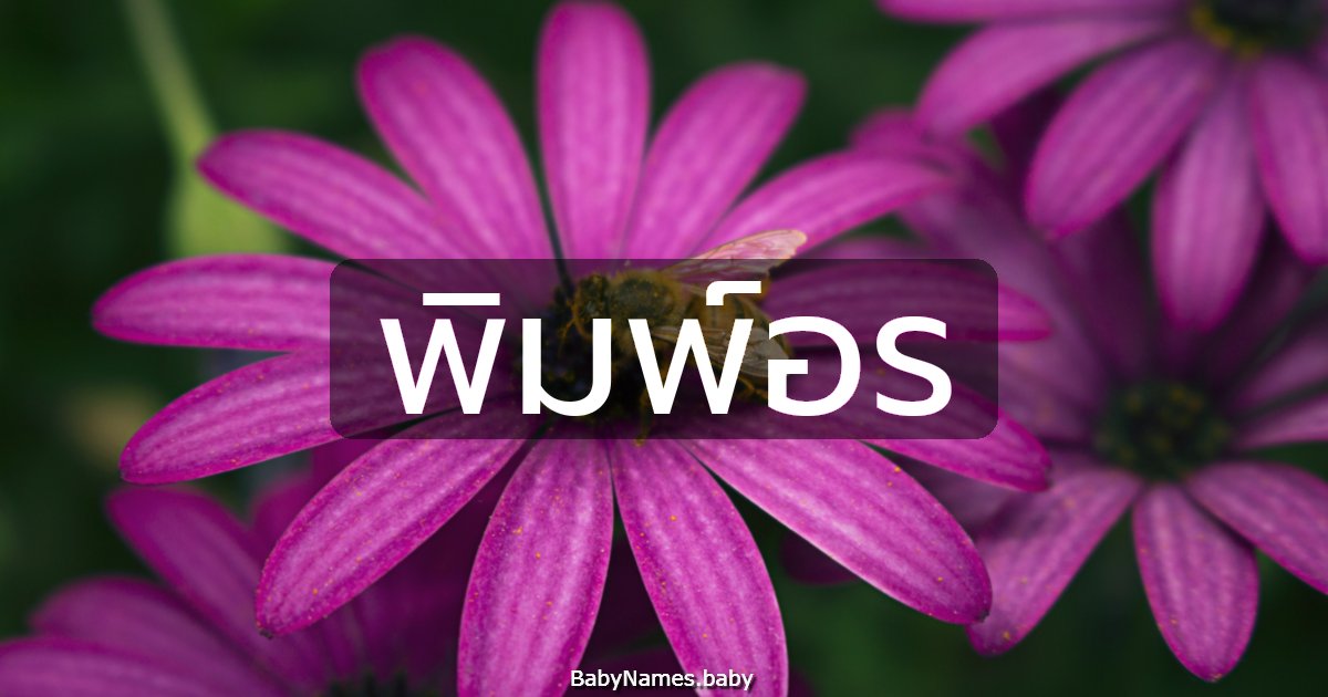 พิมพ์อร