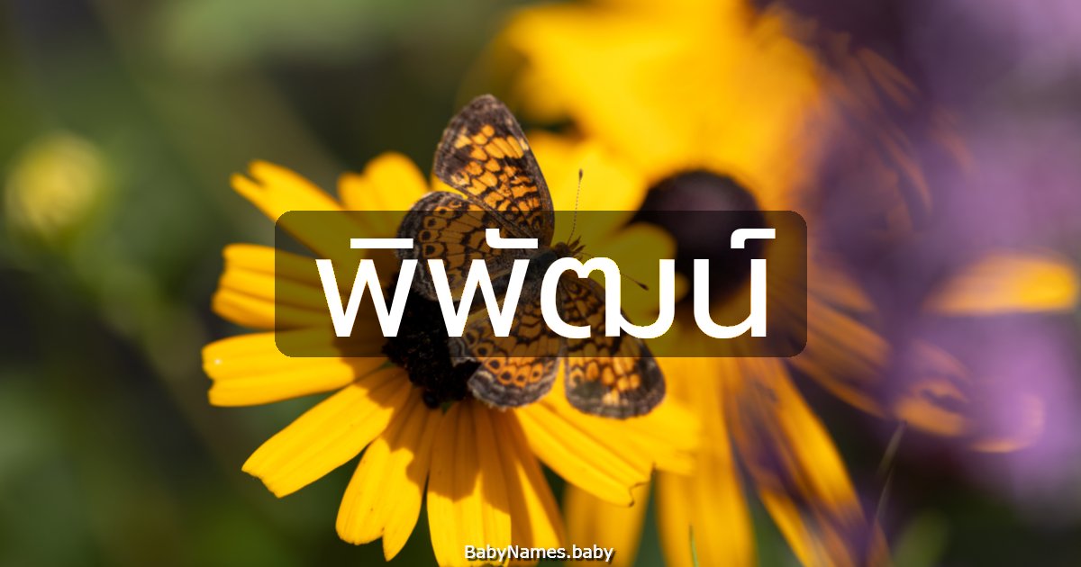 พิพัฒน์