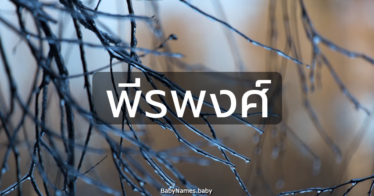 พีรพงศ์